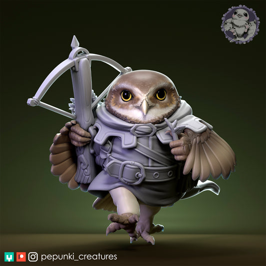 Borrowin Owl
